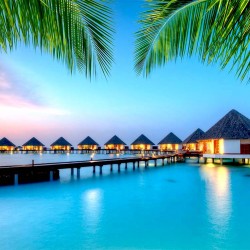 Wallpapers mural amazing night view Maldives with palm leaves