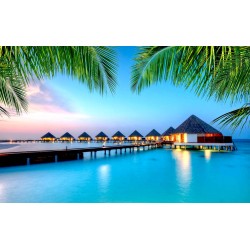 Wallpapers mural amazing night view Maldives with palm leaves