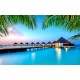 Wallpapers mural amazing night view Maldives with palm leaves