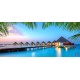 Wallpapers mural amazing night view Maldives with palm leaves