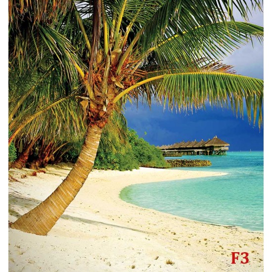 Wallpapers lonely palm on ocean coastal seascape