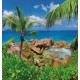 Wallpapers mural beautiful rocky shore with a palm Wallpapers mural beautiful rocky shore with a palm