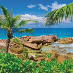 Wallpapers mural beautiful rocky shore with a palm