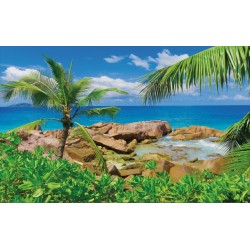 Wallpapers mural beautiful rocky shore with a palm