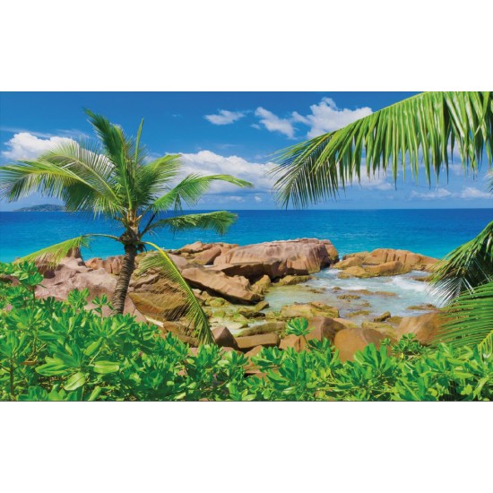Wallpapers mural beautiful rocky shore with a palm Wallpapers mural beautiful rocky shore with a palm