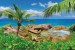 Wallpapers mural beautiful rocky shore with a palm