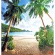 Wallpapers mural symmetrical palms on the sea shore Wallpapers mural symmetrical palms on the sea shore