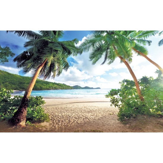 Wallpapers mural symmetrical palms on the sea shore Wallpapers mural symmetrical palms on the sea shore
