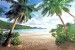 Wallpapers mural symmetrical palms on the sea shore
