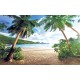 Wallpapers mural symmetrical palms on the sea shore Wallpapers mural symmetrical palms on the sea shore