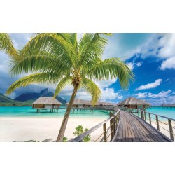 Wallpapers palms, wooden bridge and tropical summer houses