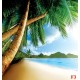 Photo mural close view with palms and a shore Photo mural close view with palms and a shore