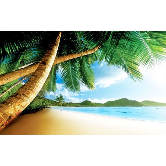Photo mural close view with palms and a shore Photo mural close view with palms and a shore