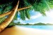 Photo mural close view with palms and a shore