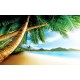 Photo mural close view with palms and a shore Photo mural close view with palms and a shore