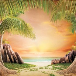 Wallpapers mural a path of palms near the shore