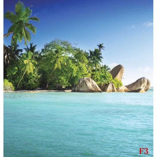 Wallpapers mural tropical shore with palms Wallpapers mural tropical shore with palms