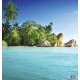 Wallpapers mural tropical shore with palms Wallpapers mural tropical shore with palms