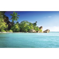 Wallpapers mural tropical shore with palms