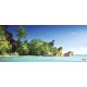 Wallpapers mural tropical shore with palms Wallpapers mural tropical shore with palms