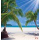 Wallpapers mural sunny palms on a coast