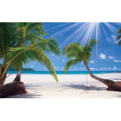 Wallpapers mural sunny palms on a coast Wallpapers mural sunny palms on a coast