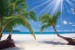 Wallpapers mural sunny palms on a coast