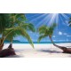 Wallpapers mural sunny palms on a coast