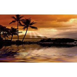 Wallpapers mural beautiful sea shore on sunset with palms Wallpapers mural beautiful sea shore on sunset with palms
