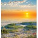 Wallpapers mural beautiful sea dunes at sunrise