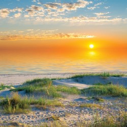 Wallpapers mural beautiful sea dunes at sunrise
