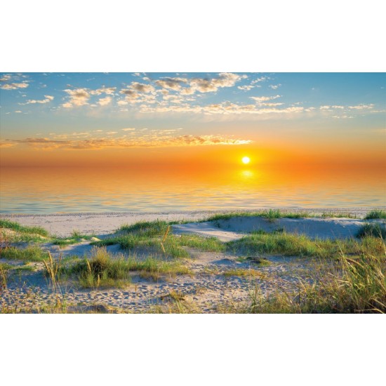 Wallpapers mural beautiful sea dunes at sunrise