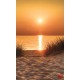 Wallpapers mural beautiful sea dunes at sunset Wallpapers mural beautiful sea dunes at sunset