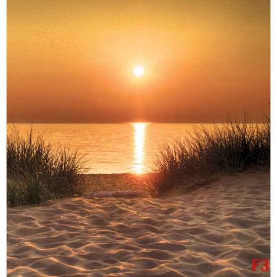 Wallpapers mural beautiful sea dunes at sunset Wallpapers mural beautiful sea dunes at sunset