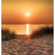 Wallpapers mural beautiful sea dunes at sunset Wallpapers mural beautiful sea dunes at sunset