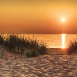 Wallpapers mural beautiful sea dunes at sunset