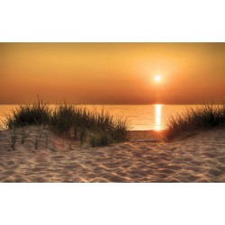 Wallpapers mural beautiful sea dunes at sunset