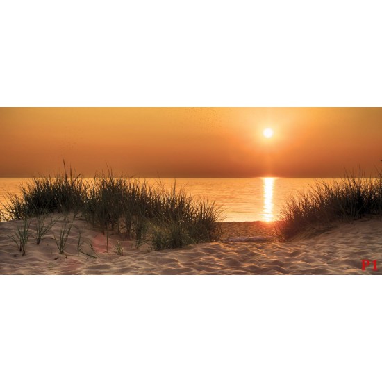 Wallpapers mural beautiful sea dunes at sunset Wallpapers mural beautiful sea dunes at sunset