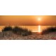 Wallpapers mural beautiful sea dunes at sunset Wallpapers mural beautiful sea dunes at sunset