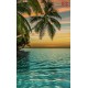 Photo mural ocean sunset with hanging palm trees in 2 variants