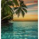 Photo mural ocean sunset with hanging palm trees in 2 variants