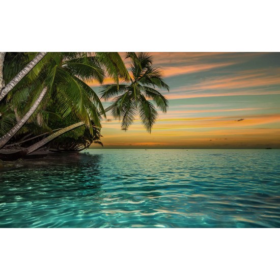 Photo mural ocean sunset with hanging palm trees in 2 variants