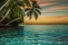 Photo mural ocean sunset with hanging palm trees in 2 variants