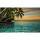Photo mural ocean sunset with hanging palm trees in 2 variants