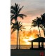 Wall murals sea coast palms with a city at night view