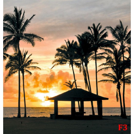 Wall murals sea coast palms with a city at night view