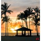 Wall murals sea coast palms with a city at night view