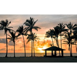 Wall murals sea coast palms with a city at night view