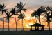 Wall murals sea coast palms with a city at night view
