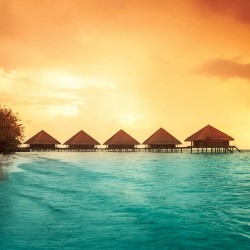 Wallpapers mural orange sky with sea sunset